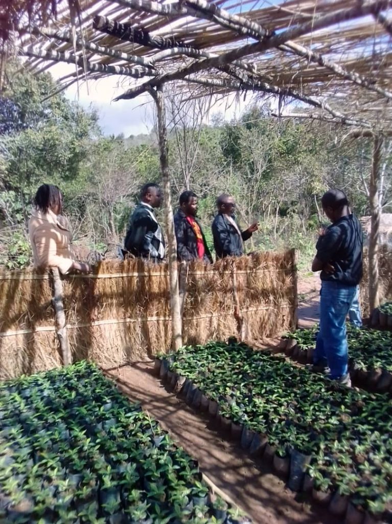 Chipunga Board Members in farm inspection tour
