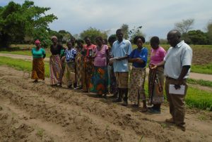 Development Desk of Karonga Diocese Promoting Climate Smart Agriculture