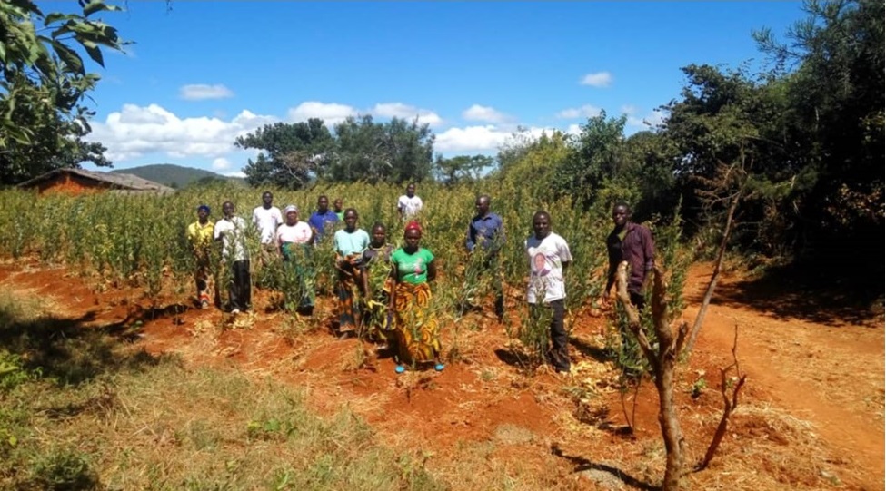 Farmers at Tupalishe club posing in their pigeon peas stand