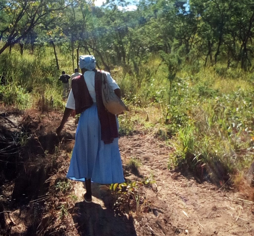 Taking shortcuts to Juma
