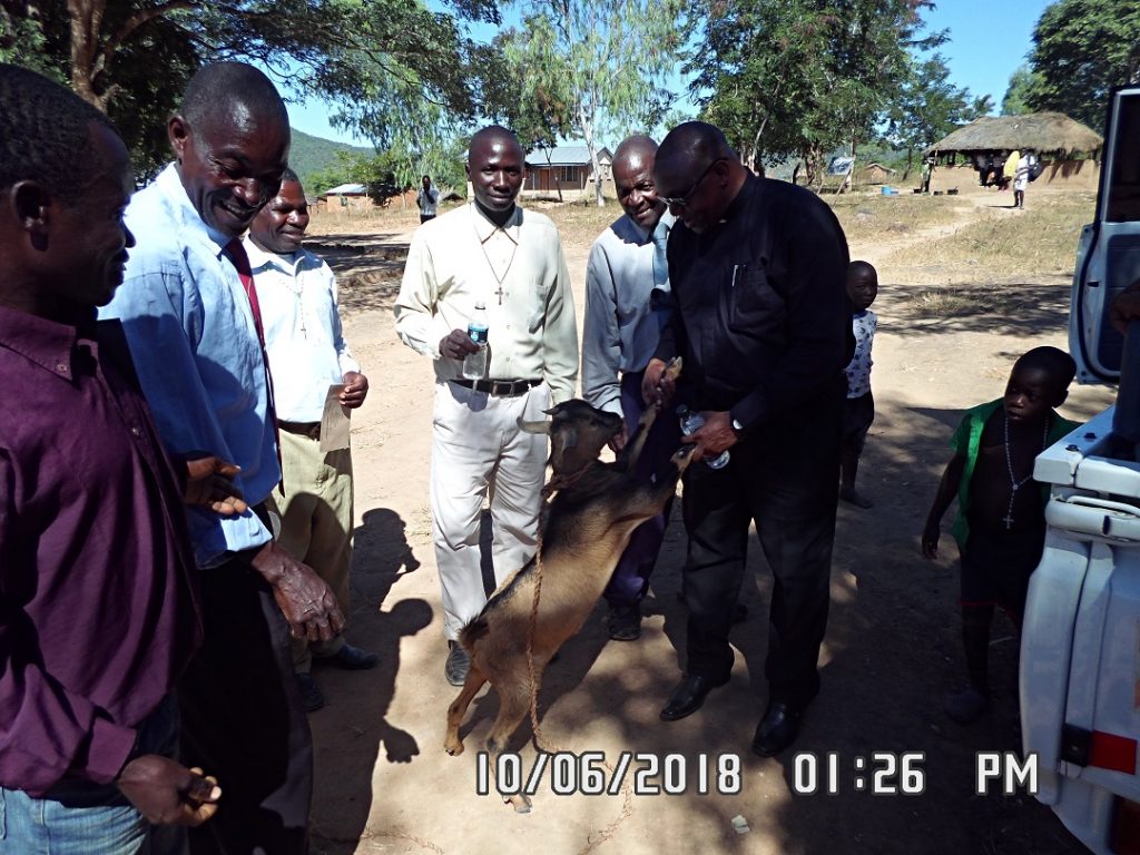 The Vicar General receiving a goat as gift from the Juma Community
