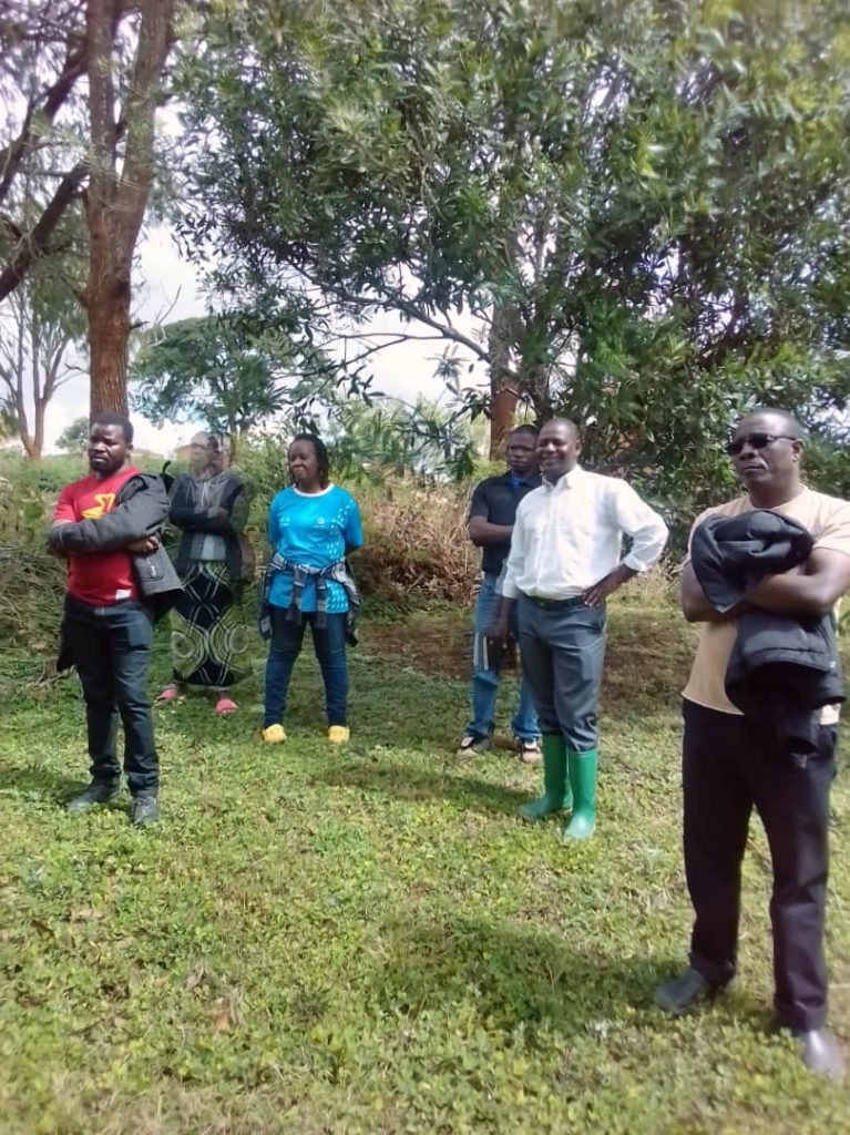 Coffee nursery at Chipunga Farm Limited