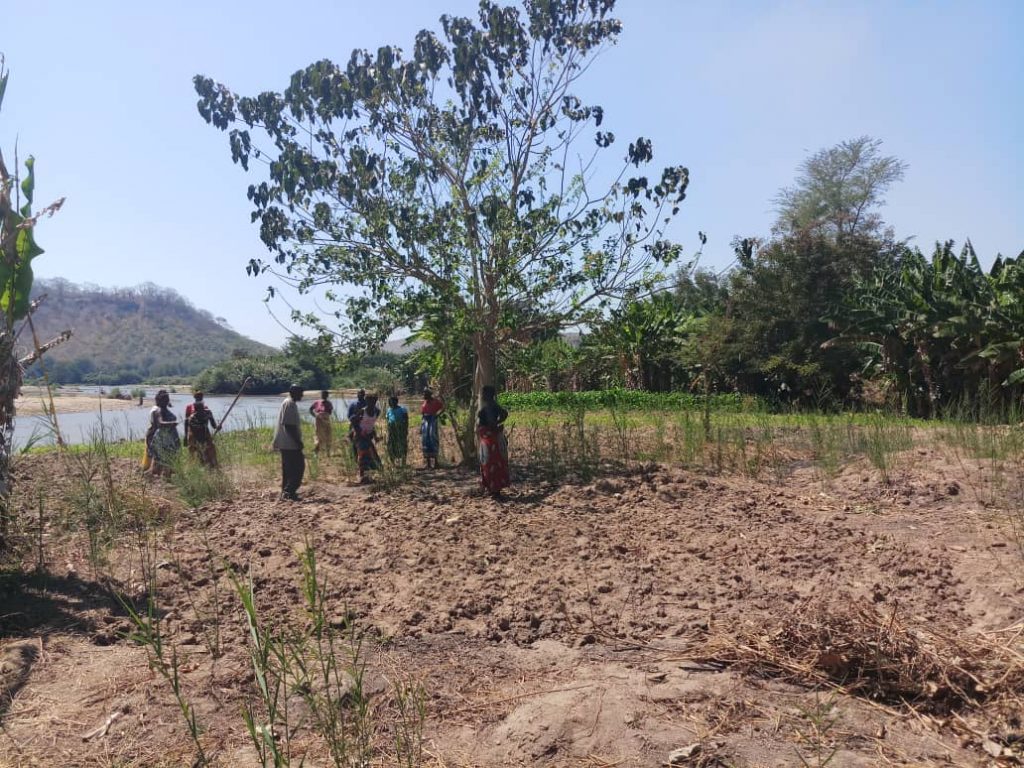 Land preparation