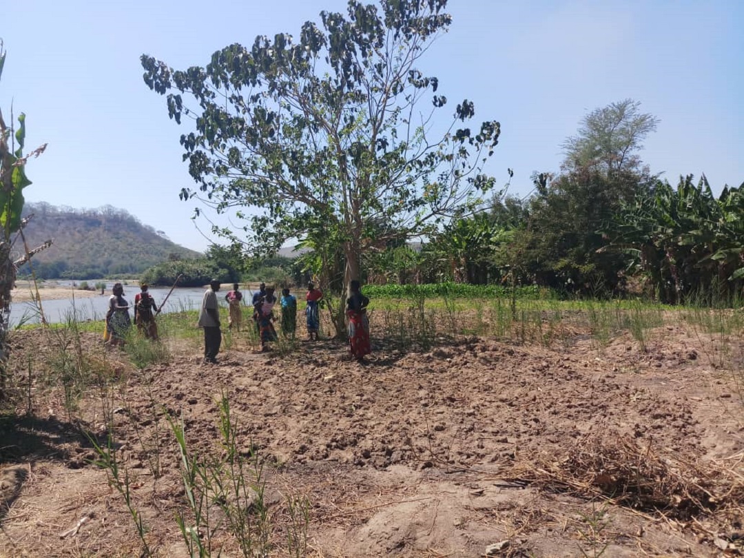 File photo: Farming activities of the Development Desk