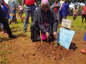 “Make Electricity Reliable and Easily Accessible to Save Trees,” Bishop Mtumbuka