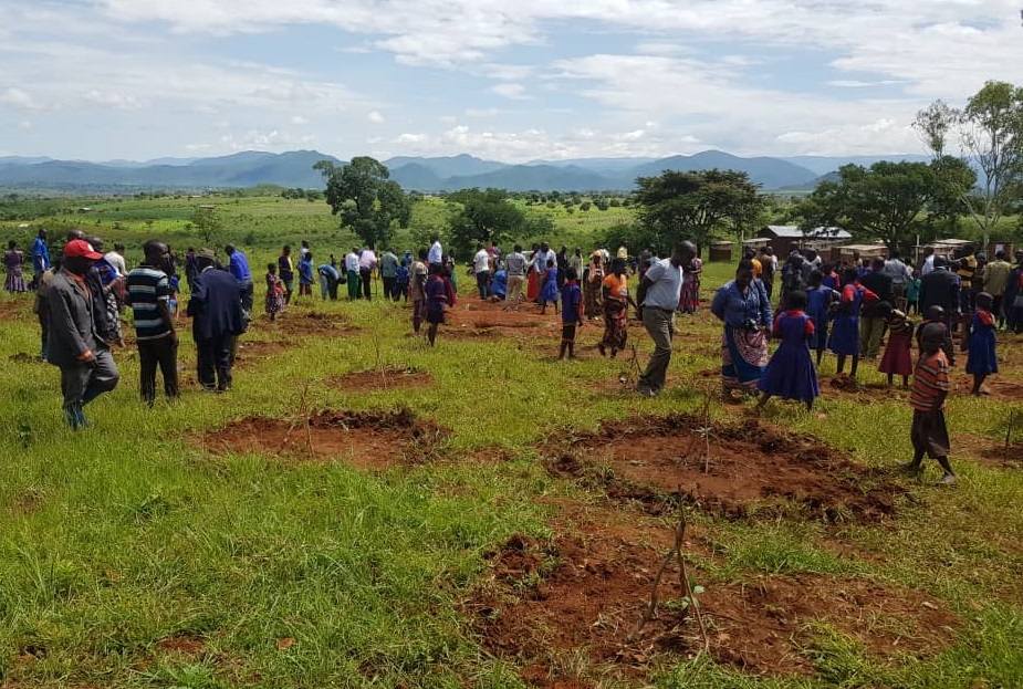 Part of the crowd during the tree planting launch