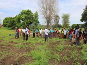 Development Desk Supports Tree Planting in Mwangolera Village