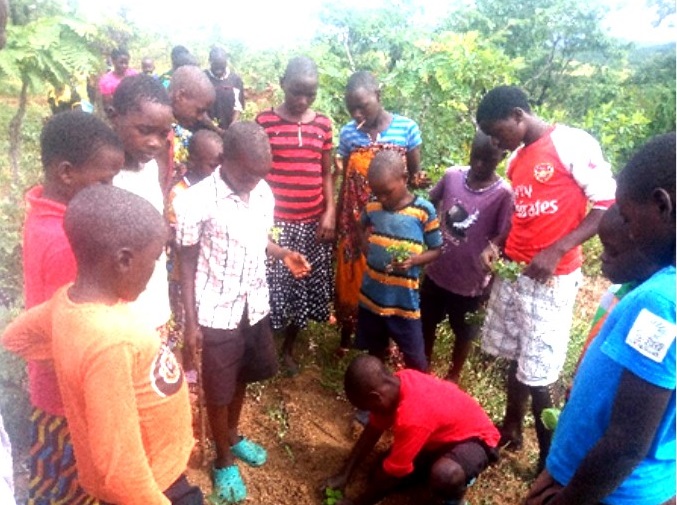 Children planting trees