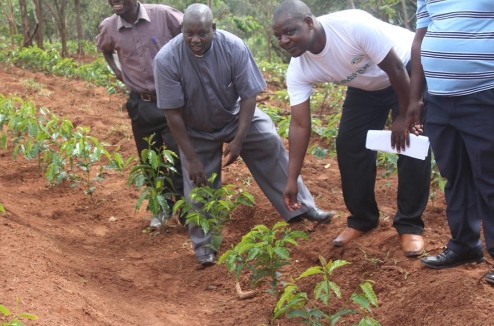 Fr Bundi and Stephano appreciating the newly planted coffee bushes at Chipunga Farm