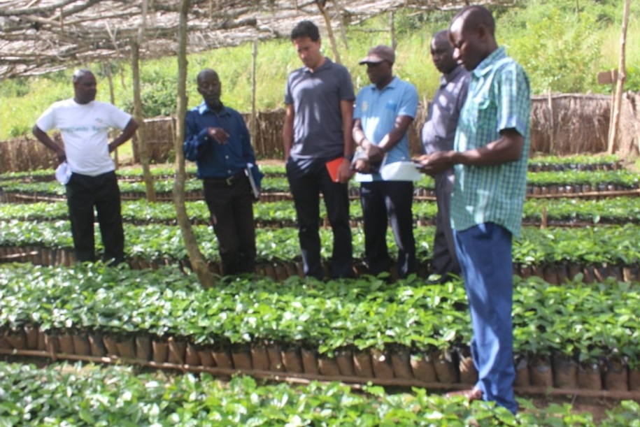 Keith, Magwira, Fr Bundi and Fr John appreciating the way Chipunga Farm takes care for its Nursery while still at the nursery bed.