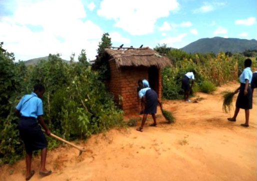 Students at work 