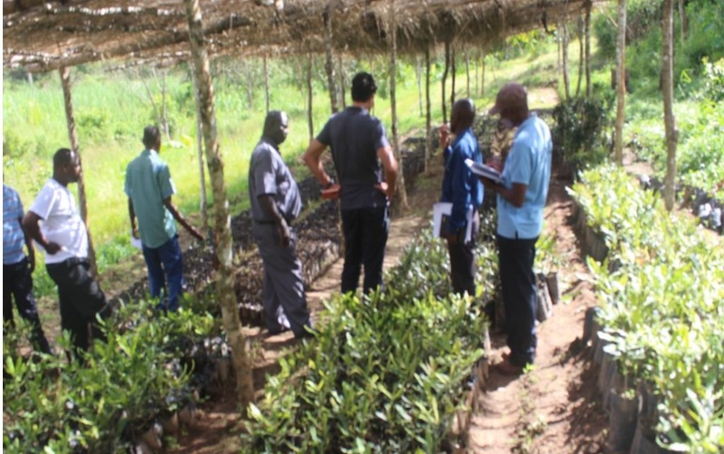The visitors at macadamia nursery. James Kasambala explaining to Keith Polo and Fr Bundi what it takes to raise one seedling of macadamia nuts