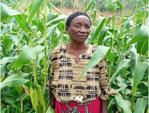 Grace Mkandawire stand on her maize field intercropped with NUA beans