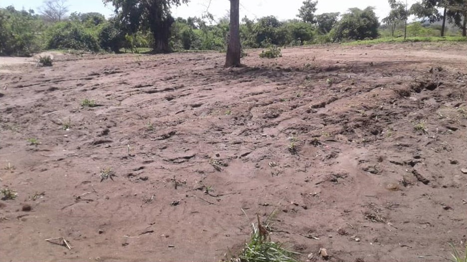 Maize field washed away 